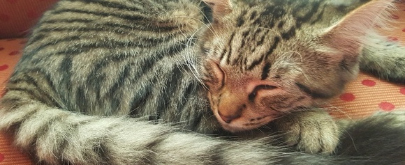 *Read before purchasing from me* - Picture 3 of 4